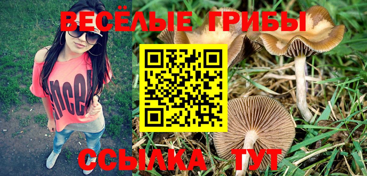 Псилоцибиновые грибы мицелий Советская Гавань