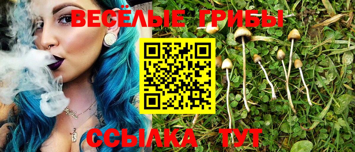 Галлюциногенные грибы прущие грибы  Вход с VPN  Галлюциногенные грибы Cubensis  Советская Гавань 